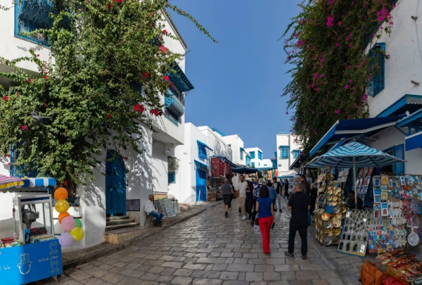 A picture of the blue and white streets of Sidi Bou Said, Tunis