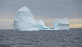 Icebergs afloat