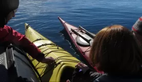 Becca boarding her kayak from the Zodiac