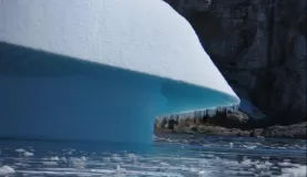 Ice berg blue