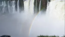 Nature's rainbow