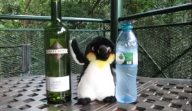 Argentine wine, wildlife and water