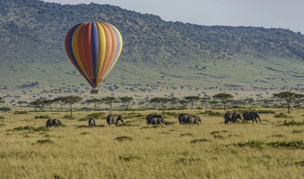 Hot air ballooning over African Elephants in the Masai Mara National Reserve, Kenya