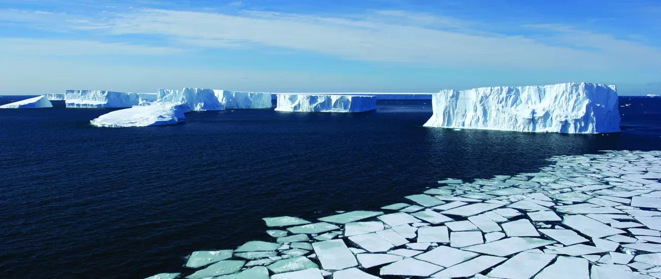 An ocean of icebergs.