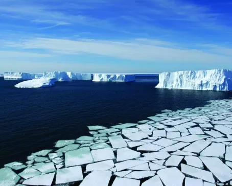 An ocean of icebergs.