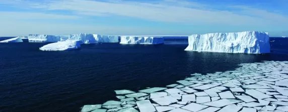 An ocean of icebergs.