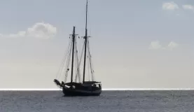Catching the wind on our sailing adventure on the Liberty Clipper
