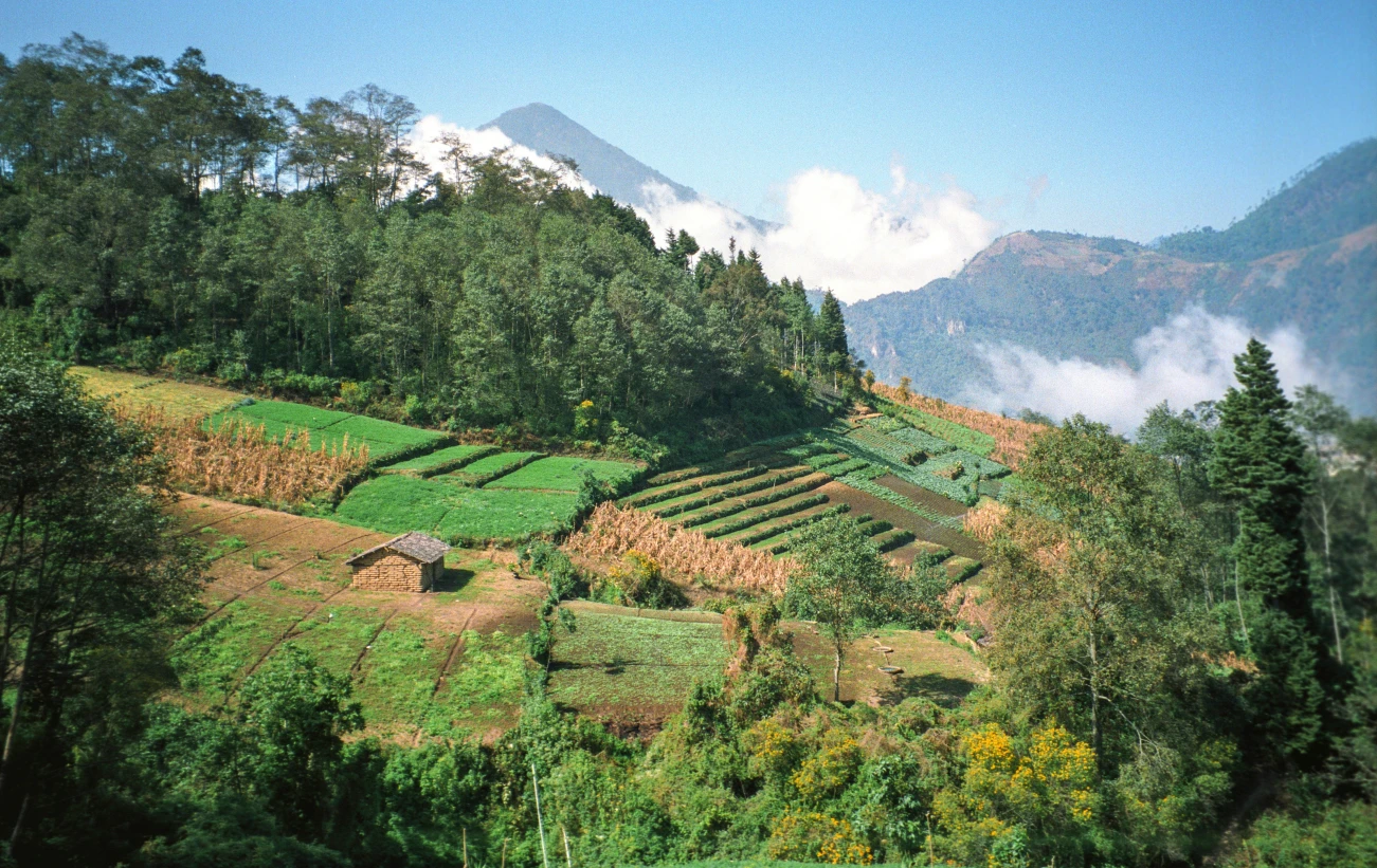 Farm plots in the central highlands of Guatemala