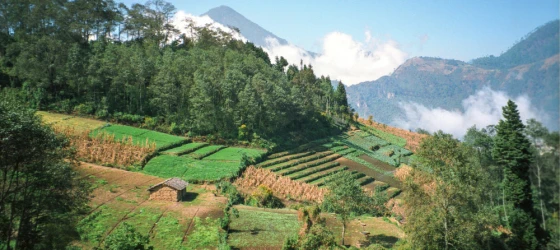 Farm plots in the central highlands of Guatemala