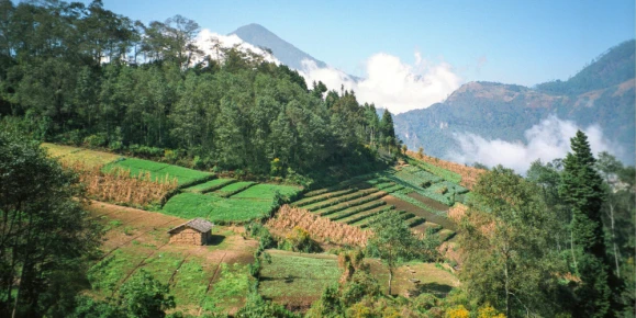 Farm plots in the central highlands of Guatemala