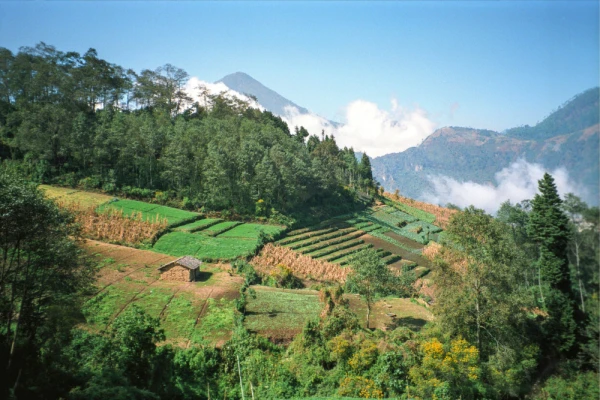 Farm plots in the central highlands of Guatemala