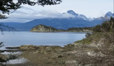 Hike through Tierra del Fuego - Beagle Channel