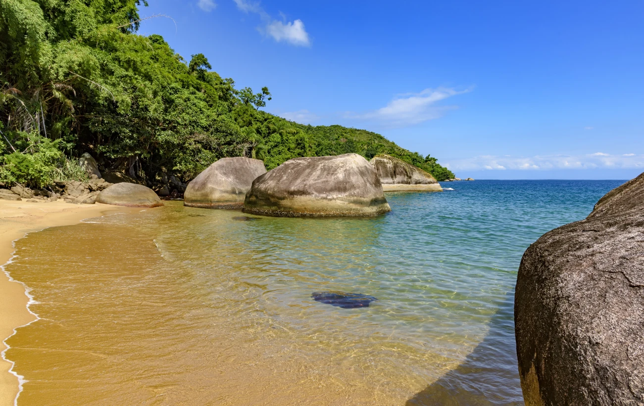 Paradise beach, totally preserved and deserted with tropical rainforest