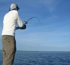 Permit on! Fishing in the lagoon at Turneffe Flats