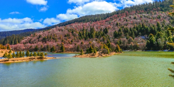 Pudacuo National Forest Park