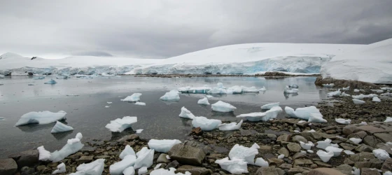 A dramatic panorama of snow, glaciers, and icebergs at Portal Point.