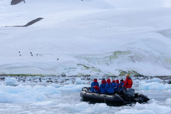 Exploring the Icy Waters of Antarctica by Zodiac