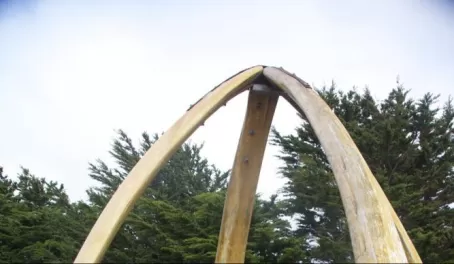 A whale bone monument