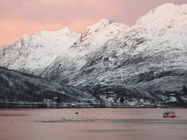 The rugged beauty of the Norwegian fjords during winter, where snow meets the sea under a quiet, dusky sky.