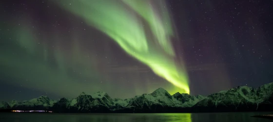 A vibrant green aurora dances over the serene fjord in Norway.