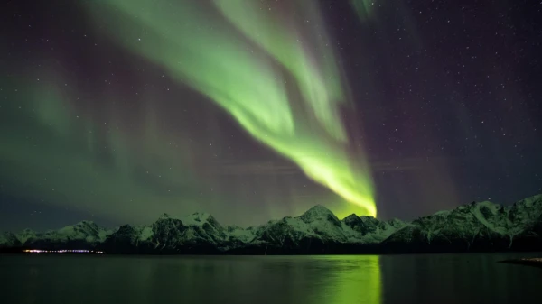 A vibrant green aurora dances over the serene fjord in Norway.