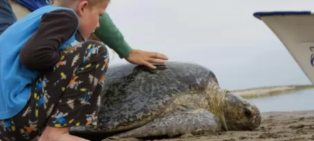 My son with the turtle