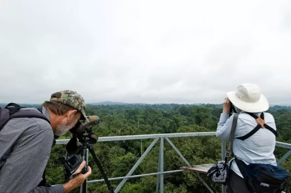 Viewing wildlife from the tower