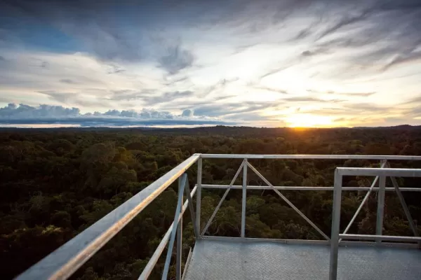 Sunset from the Ted Parker Canopy Tower