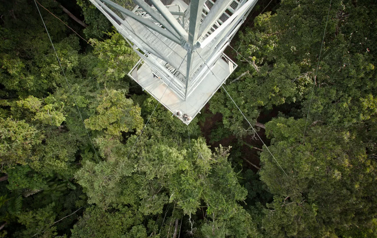 Looking down the tower