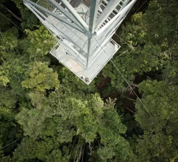 Looking down the tower