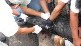 (San Cristobal) Breach birth - pup was not alive