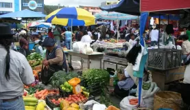 Exploring a market in Ecuador