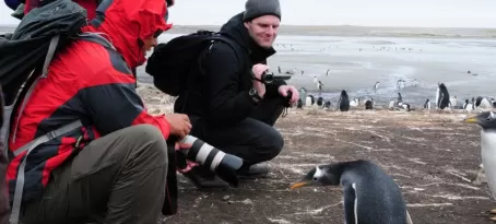 penguins getting friendly with the camera