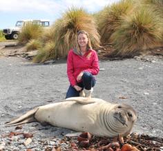 A baby seal on Sea Lion Island