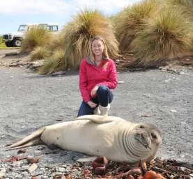 A baby seal on Sea Lion Island