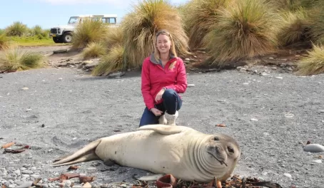 A baby seal on Sea Lion Island