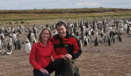 Making friends with Gentoo penguins in the Falkland Islands