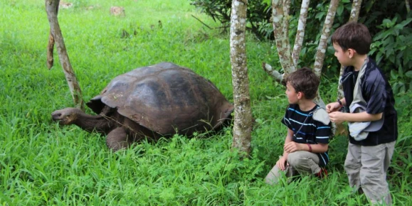 Kids loving Santa Cruz Island
