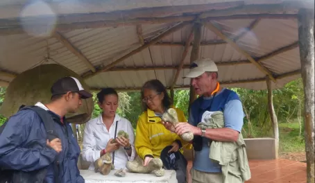 the vet and professors examine the specimens