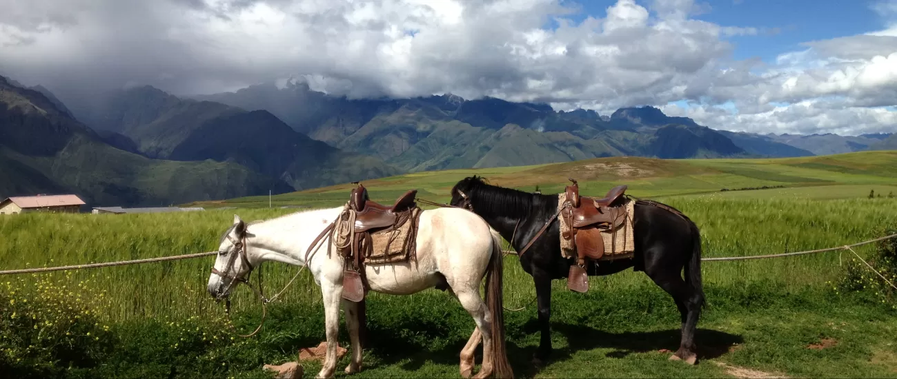 Horseback riding in Sacred Valley, Peru