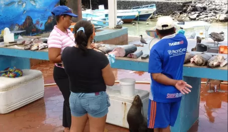 Fish mart,  Puerto Ayora, Santa Cruz Island