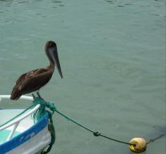 Puerto Ayora Harbor, Santa Cruz Island