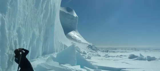 Iceberg near floe edge