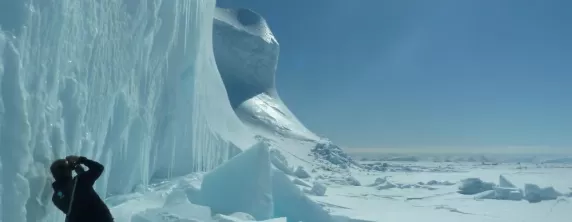 Iceberg near floe edge