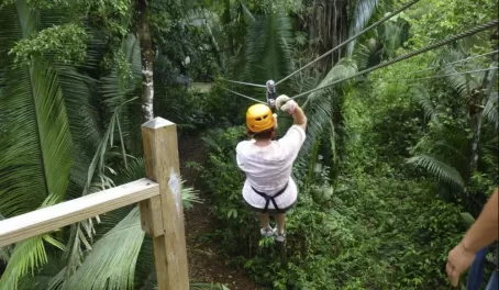 Ziplining in the Belizean rainforest
