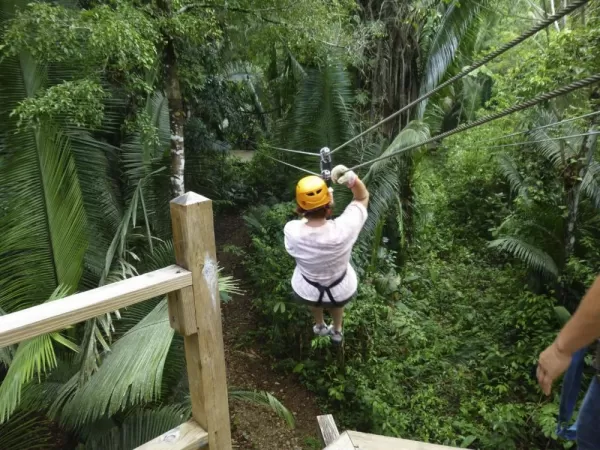 Ziplining in the Belizean rainforest