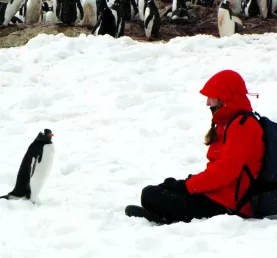 Sitting with a penguin