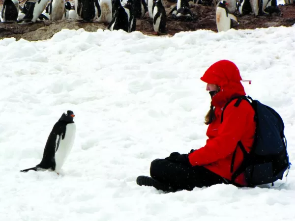 Sitting with a penguin