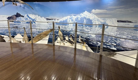 Maggiorino Borgatello Museum - Punta Arenas