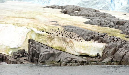 Sailing to Portal Point